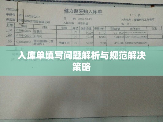 入库单填写问题解析与规范解决策略