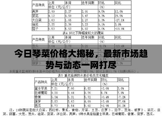 今日琴菜价格大揭秘，最新市场趋势与动态一网打尽
