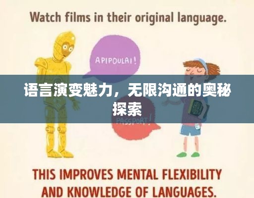 语言演变魅力，无限沟通的奥秘探索