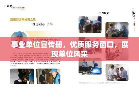 事业单位宣传册，优质服务窗口，展现单位风采