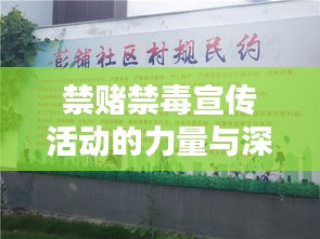 布衣蔬食
