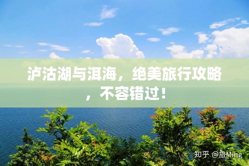 粗枝大叶