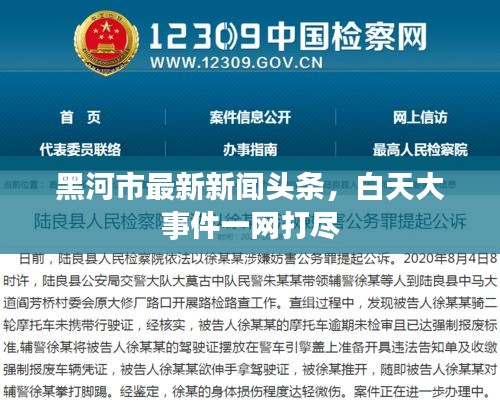 黑河市最新新闻头条，白天大事件一网打尽