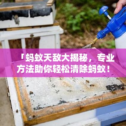 「蚂蚁天敌大揭秘，专业方法助你轻松清除蚂蚁！」