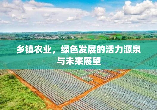 乡镇农业，绿色发展的活力源泉与未来展望