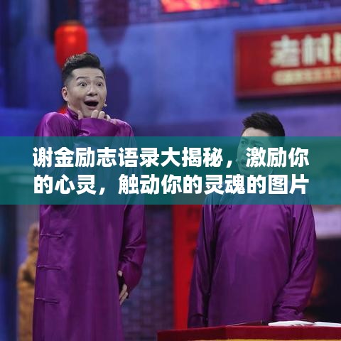谢金励志语录大揭秘，激励你的心灵，触动你的灵魂的图片分享