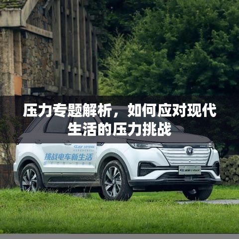 压力专题解析，如何应对现代生活的压力挑战