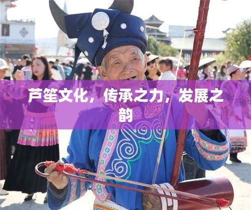 2025年6月17日