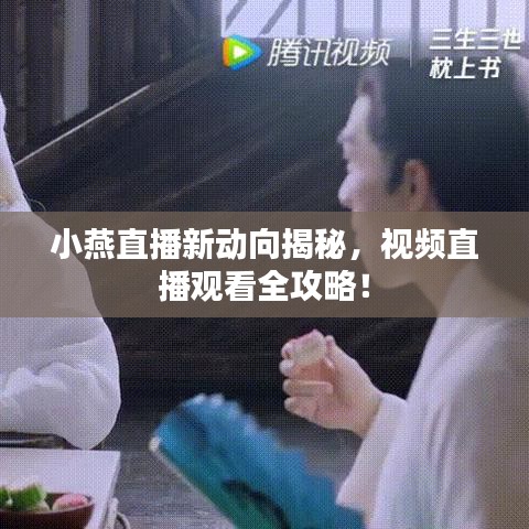 小燕直播新动向揭秘，视频直播观看全攻略！