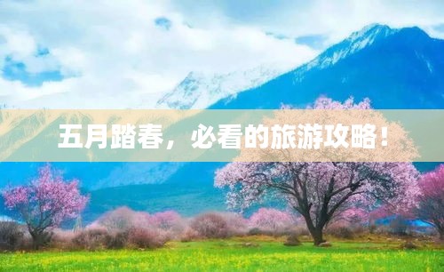 五月踏春，必看的旅游攻略！