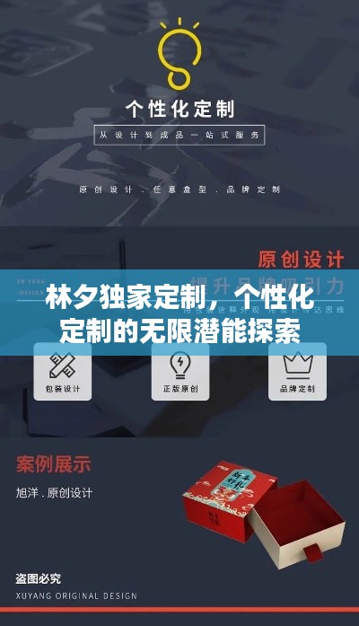 林夕独家定制，个性化定制的无限潜能探索