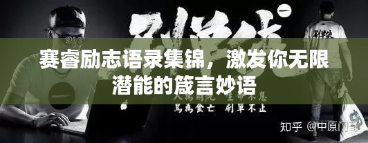 赛睿励志语录集锦，激发你无限潜能的箴言妙语