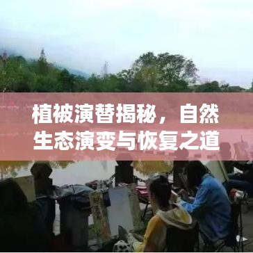 植被演替揭秘，自然生态演变与恢复之道探索微专题