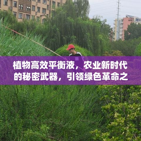 植物高效平衡液，农业新时代的秘密武器，引领绿色革命之路