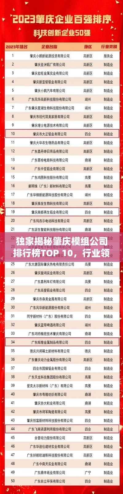 独家揭秘肇庆模组公司排行榜TOP 10，行业领军者一览无余！