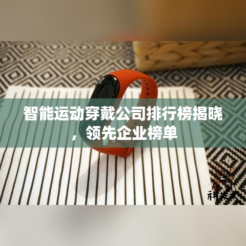 智能运动穿戴公司排行榜揭晓，领先企业榜单