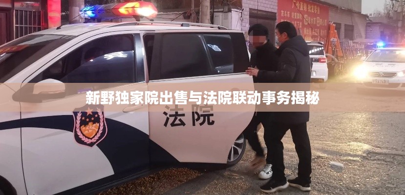 新野独家院出售与法院联动事务揭秘