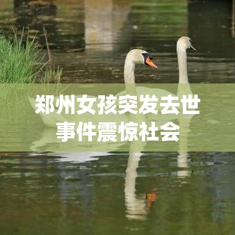 郑州女孩突发去世事件震惊社会