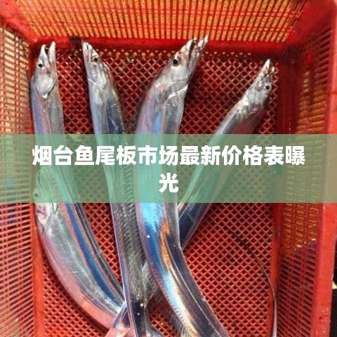 烟台鱼尾板市场最新价格表曝光