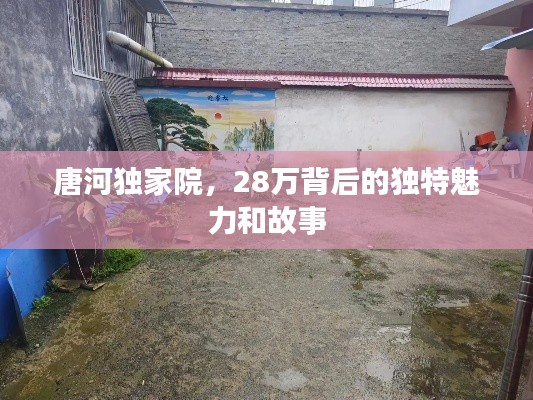 唐河独家院，28万背后的独特魅力和故事