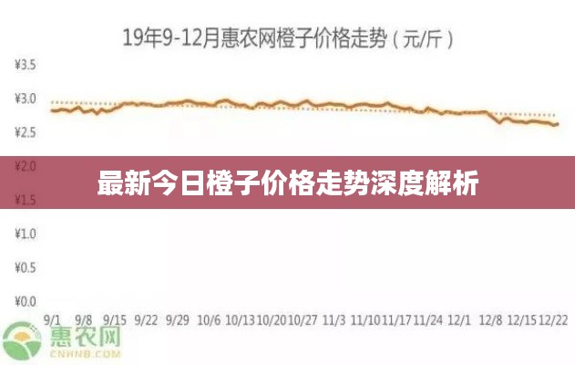 最新今日橙子价格走势深度解析