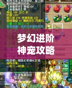 梦幻进阶神宠攻略大全，助你轻松养成顶级神宠！