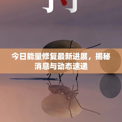 今日能量修复最新进展，揭秘消息与动态速递