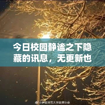 今日校园静谧之下隐藏的讯息，无更新也是一种动态更新