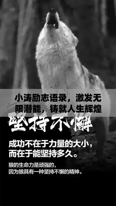 小涛励志语录，激发无限潜能，铸就人生辉煌