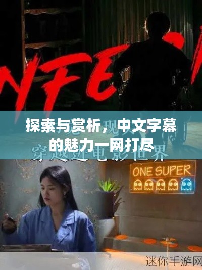 探索与赏析，中文字幕的魅力一网打尽