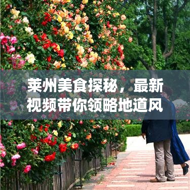莱州美食探秘，最新视频带你领略地道风味