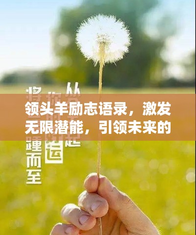 领头羊励志语录，激发无限潜能，引领未来的力量