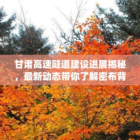甘肃高速隧道建设进展揭秘，最新动态带你了解密布背后的故事