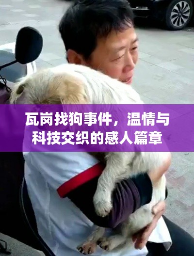 瓦岗找狗事件，温情与科技交织的感人篇章