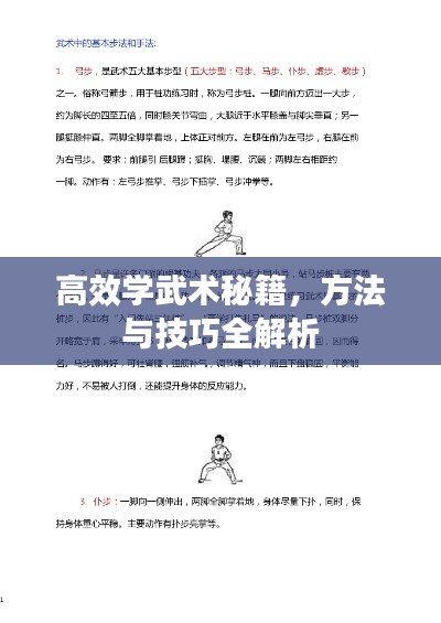 高效学武术秘籍，方法与技巧全解析