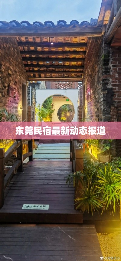 东莞民宿最新动态报道