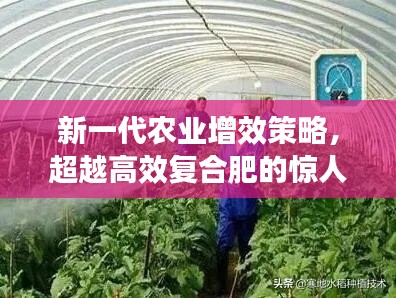 新一代农业增效策略，超越高效复合肥的惊人效果