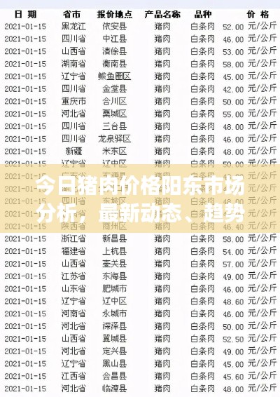 今日猪肉价格阳东市场分析，最新动态、趋势预测与消费者应对策略