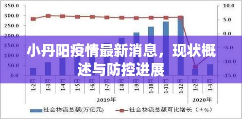 小丹阳疫情最新消息，现状概述与防控进展