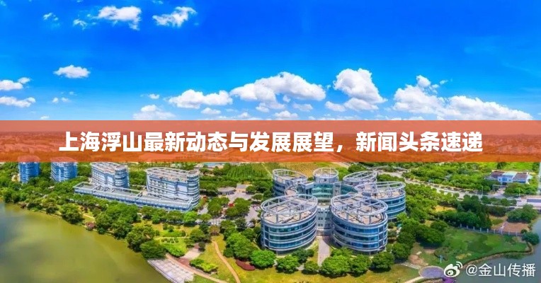 上海浮山最新动态与发展展望，新闻头条速递
