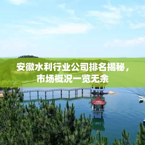 安徽水利行业公司排名揭秘，市场概况一览无余
