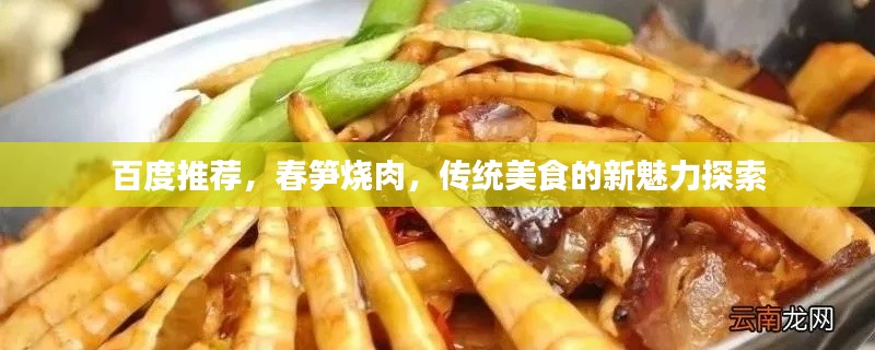 百度推荐，春笋烧肉，传统美食的新魅力探索