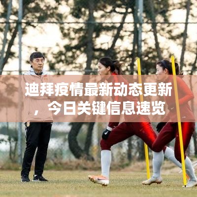 迪拜疫情最新动态更新，今日关键信息速览