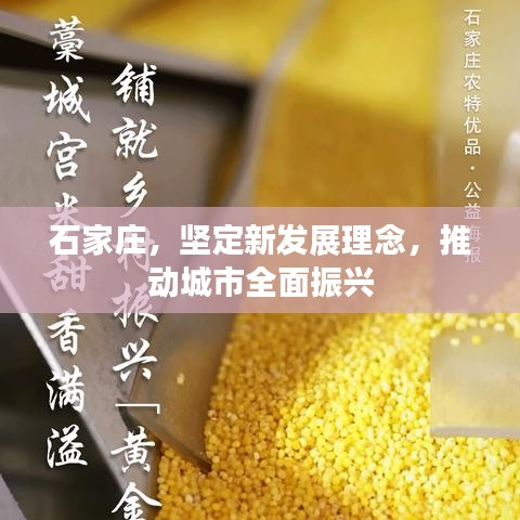 石家庄，坚定新发展理念，推动城市全面振兴
