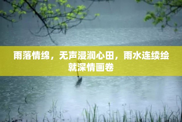 雨落情绵，无声浸润心田，雨水连续绘就深情画卷
