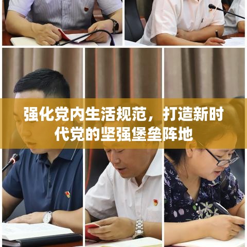 强化党内生活规范，打造新时代党的坚强堡垒阵地