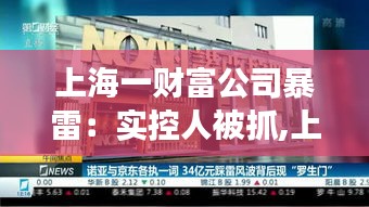 上海财富公司实控人被抓，行业震动揭示风险警示，暴雷事件敲响警钟