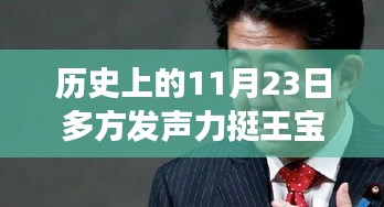 历史上的11月23日，多方发声力挺王宝强，共鸣声援时刻