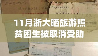 浙大取消贫困生旅游照受助资格事件，暖阳下的理解与爱的力量之旅