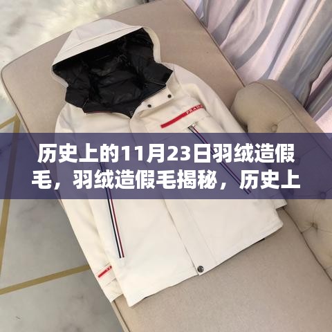 羽绒造假毛事件揭秘，历史上的羽绒品质真相探寻与探寻真相的探寻之路